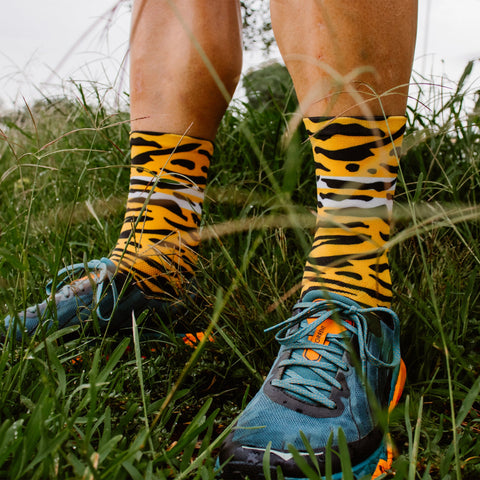 Tiger Stripes Socks